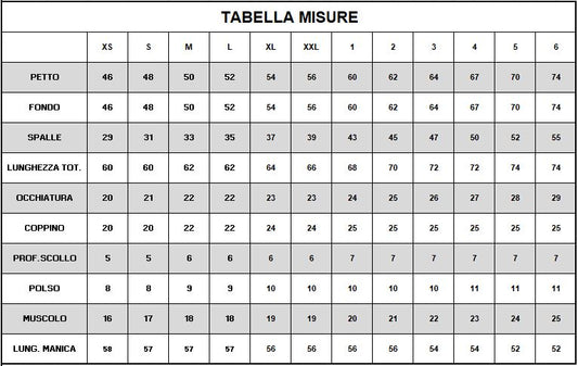 3885 - MAGLIA MANICHE LUNGHE CON SCOLLO A V